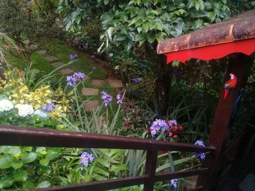 un jardín con flores púrpuras y un banco rojo en Chalé charmoso e aconchegante em Visconde de Maua, en Visconde De Maua