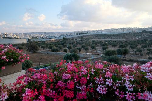 a bunch of pink flowers in a garden at Tantur Hills Hotel - Jerusalem in Jerusalem