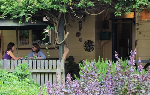 Сад в Chester St Backpackers