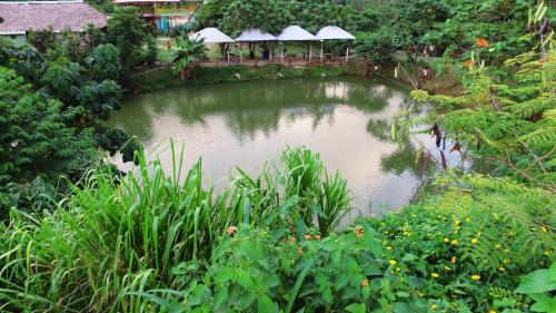 a pond in the middle of a garden at Cabañas Ecoturisticas Y Club Gaira Tayrona in Santa Marta