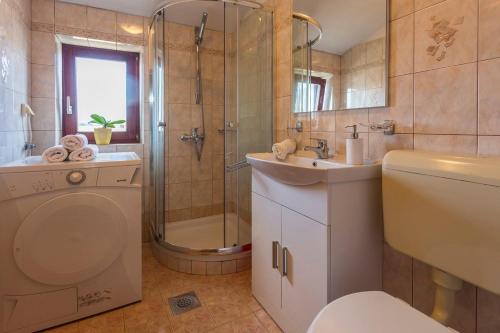 a bathroom with a shower and a toilet and a sink at Casa Kujici in Krnica