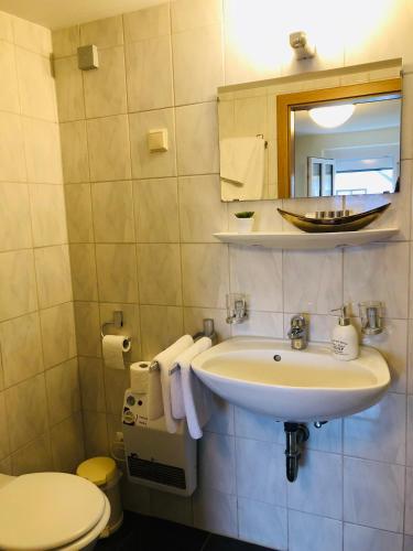 a bathroom with a sink and a toilet and a mirror at Pension Holzgarten in Regensburg