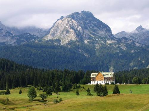 Gallery image of Apartments And Rooms Gold in Žabljak