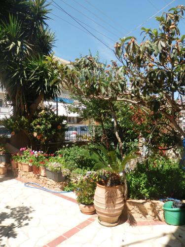 a group of potted plants and flowers on a sidewalk at Eleni Studios in Agios Nikolaos