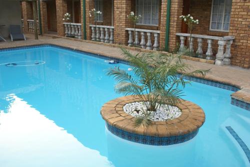 a blue swimming pool with a palm plant in it at Airport Inn Bed and Breakfast in Kempton Park
