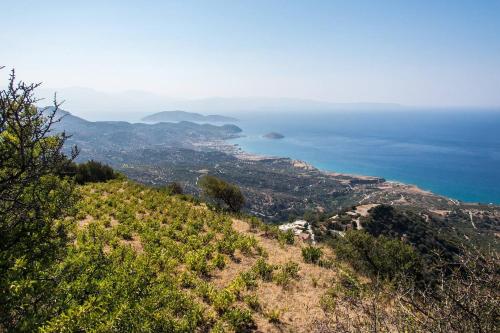 Φυσικό τοπίο κοντά σε αυτό το διαμέρισμα
