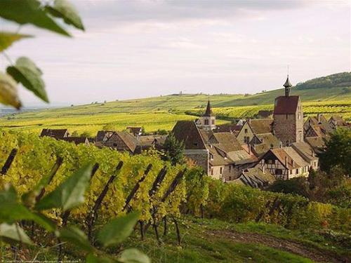 a village with a vineyard and a church and a town at Fast Hotel Colmar Houssen in Houssen