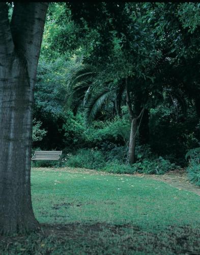 a park bench sitting in the grass next to a tree at High Hopes in Greyton