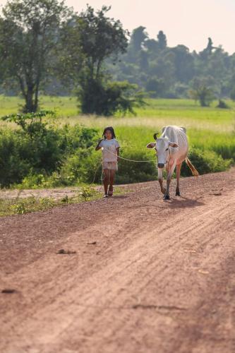 Επισκέπτες που μένουν στο Chansor Homestay 7 By Siem Reap Homesteading