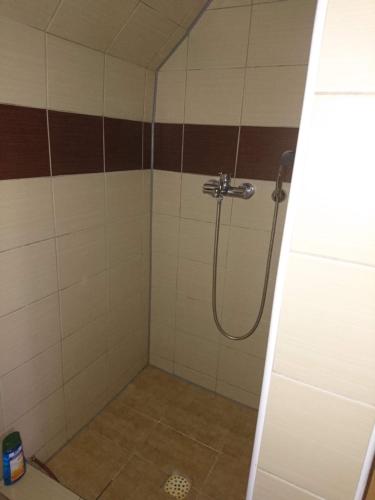 a bathroom with a shower with brown and white tiles at Penzion Forest in Rozvadov