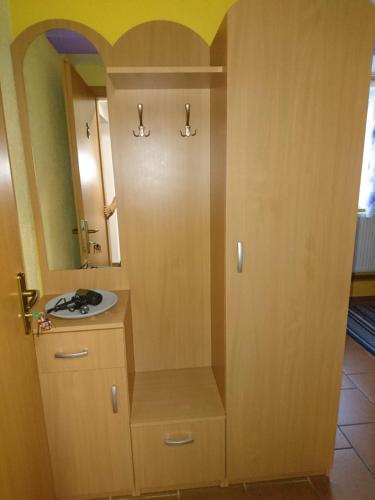 a bathroom with a cabinet with a sink and a mirror at Penzion Forest in Rozvadov