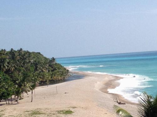 a beach with a bunch of trees and the ocean at Hotel Vista Sur in Los Patos