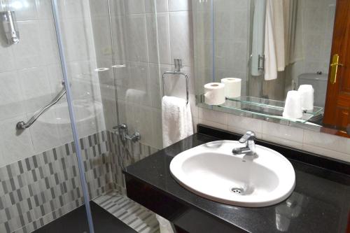 a bathroom with a sink and a glass shower at Hotel Alda Santa Cristina in Perillo