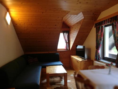 a living room with a couch and a tv in a cabin at Turisticna Kmetija Psnak in Mojstrana