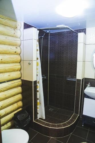 a bathroom with a shower with a toilet and a sink at "Карпатський краєвид" in Polyana