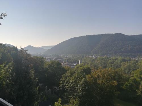 a view of a valley with mountains in the distance at Ferienwohnung am Weinberg in Bad Ems