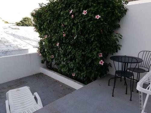 AZORES PEDRA APARTMENTS - T0 e T1