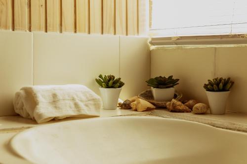 a bathroom sink with plants and a towel on a counter at BDL Beach Design loft Two in José Ignacio