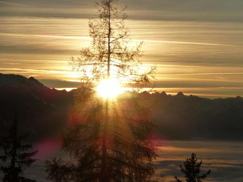 a sun setting behind a tree in front of a mountain at Ferienhaus Hubertus Tirol 1-8 Personen in Pill