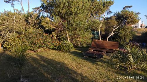 a bench sitting in the grass next to a tree at Hotel El Refugio nudista naturista opcional in Chihuahua