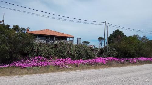 a road with purple flowers next to a house at Hotel El Refugio nudista naturista opcional in Chihuahua