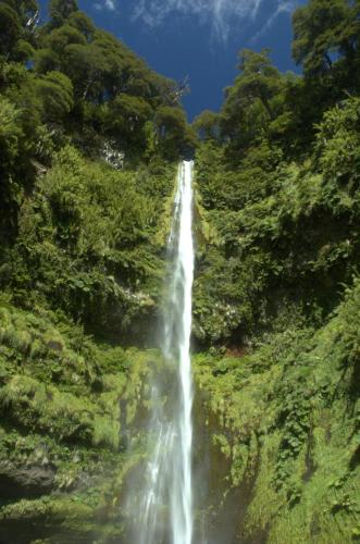 a waterfall in the middle of a forest at Cabaña Conguillio Chercan con refrigerador in Conguillio