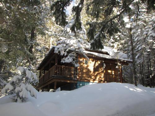 a log cabin in the woods in the snow at Logden Lodge in Nelson