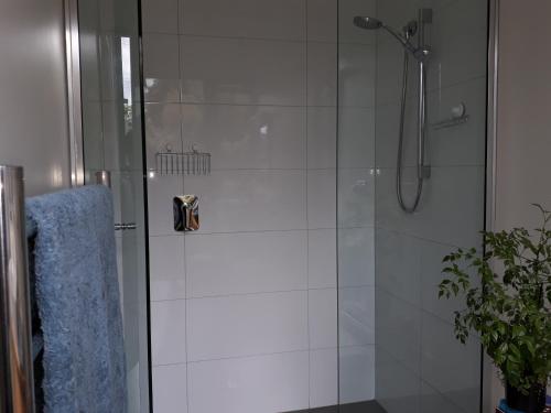 une douche avec une porte en verre à côté d'une plante dans l'établissement Mapua Studio Quality Accommodation, à Mapua
