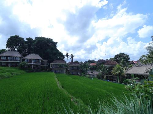 a large field of grass with houses in the background at Biyukukung Suite & Spa in Ubud