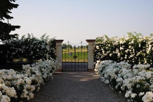 a bunch of white flowers in front of a gate at Borgo Dei Conti Della Torre in Morsano al Tagliano