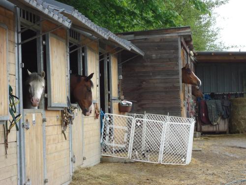 a group of horses sticking their heads out of a building at Hotel La Crémaillère in Bras-Haut