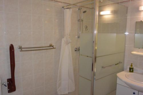 サリ・ソランザラにあるPALMERAIE 220のバスルーム(シャワー、シャワーカーテン付)