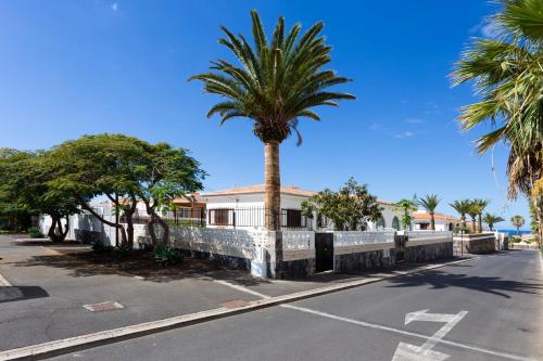 a palm tree on the side of a street at Bungalow Palm Mar with pool and garden in Arona