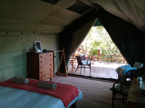 a tent with a bed and a desk and a deck at Bushbuck Camp in Sedgefield