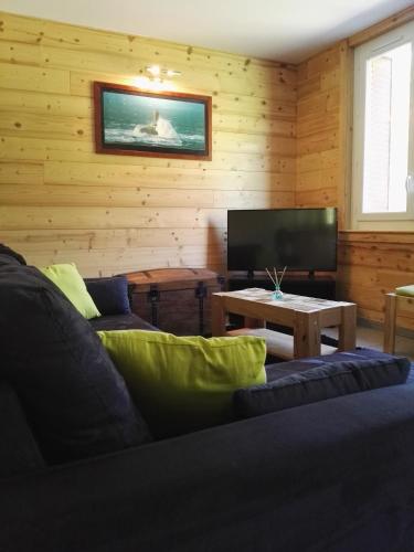 a living room with a couch and a tv at Le mas des Alberges in Le Bourg-dʼOisans