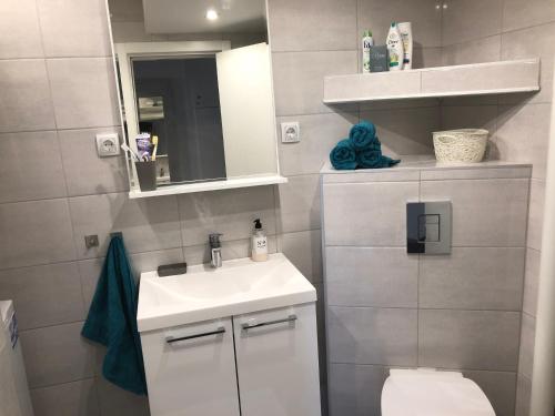 Un baño pequeño con lavabo e inodoro. en La Fontana, en Belgrado