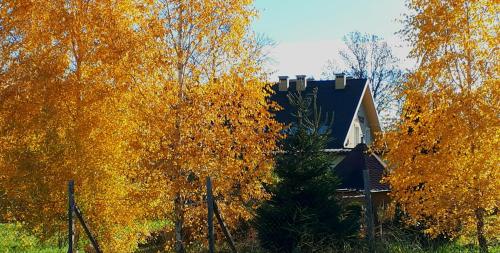 a house with autumn leaves on it next to a fence at Zajazd Podzamcze in Fałków