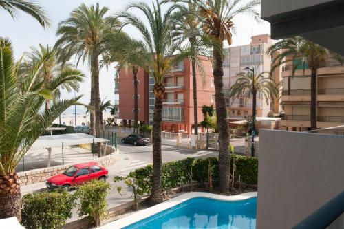 Πισίνα στο ή κοντά στο Hotel El Palmeral