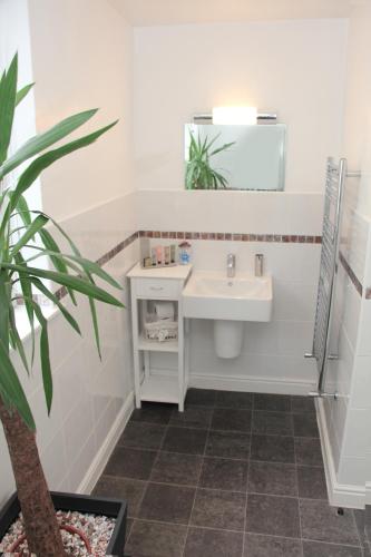 a bathroom with a sink and a potted plant at St John's Lodge incl off-site leisure club in Windermere