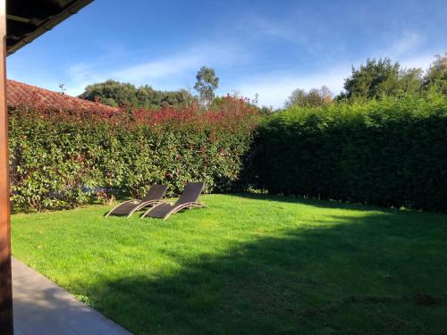 three chairs sitting in the grass in a yard at The Cool Houses in Llanes