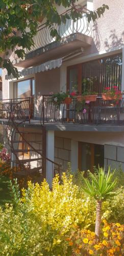 Billede fra billedgalleriet på Kyurkchievi Guest House i Sapareva Banya