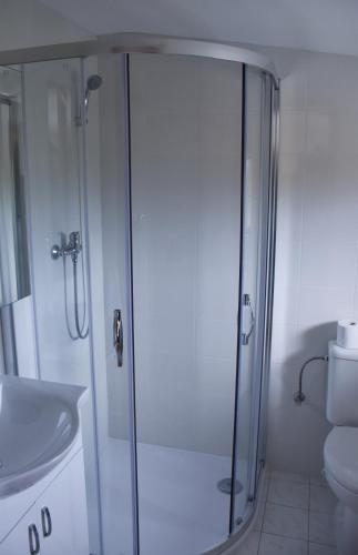 a bathroom with a shower and a toilet and a sink at Penzión Koruna in Nitrianske Rudno