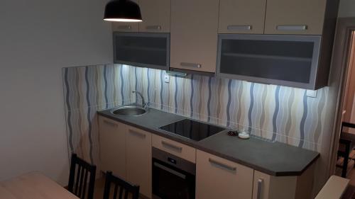 eine Küche mit Spüle und Arbeitsplatte in der Unterkunft Kuća BADNJAR Guča in Guča