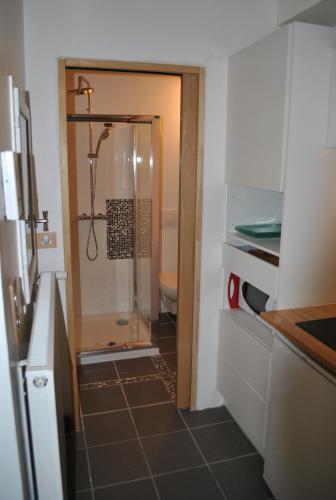 une douche avec une porte vitrée dans une salle de bain dans l'établissement 