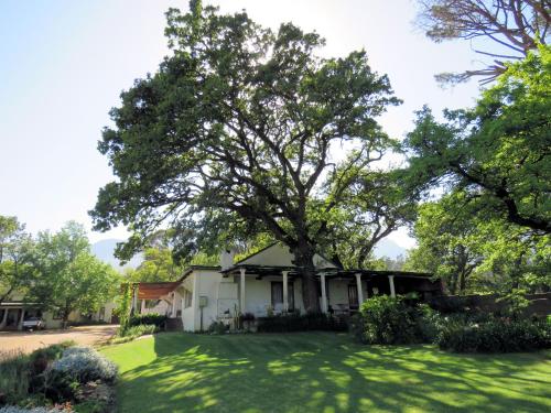a house with a large tree in the yard at Modderkloof Farm Accommodation in Paarl