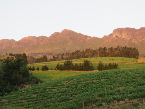 a large green field with mountains in the background at Modderkloof Farm Accommodation in Paarl