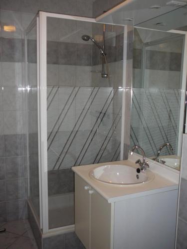 a bathroom with a sink and a shower at Strandslag Zanddijk 229 Julianadorp aan Zee in Julianadorp