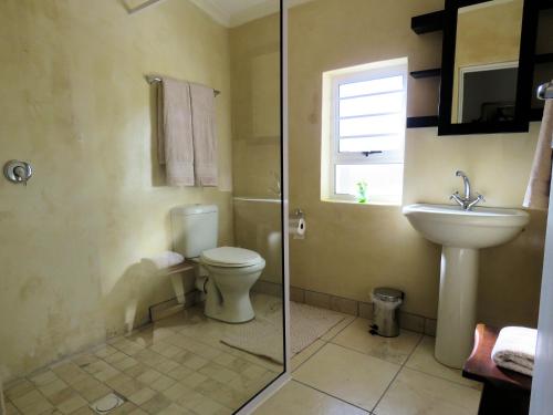 a bathroom with a toilet and a sink at Modderkloof Farm Accommodation in Paarl