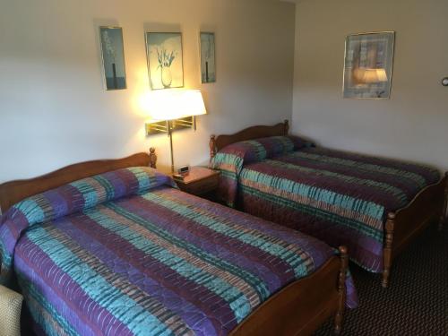 a hotel room with two beds and a lamp at Catamount Motel in Bennington