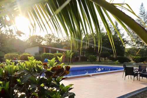 une cour avec une piscine et un palmier dans l'établissement Yuna Village Garden Resort, à Tubaya